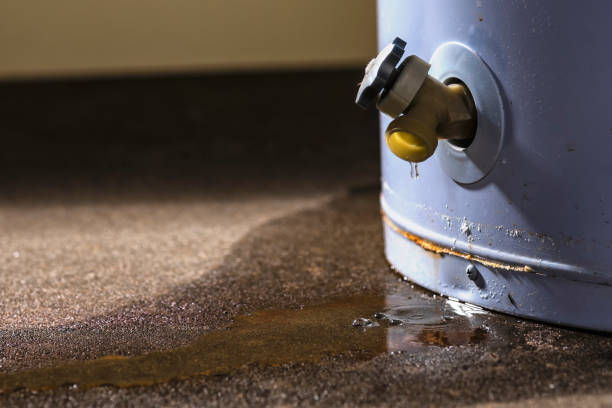 Best Professional water damage repair  in Gooding, ID