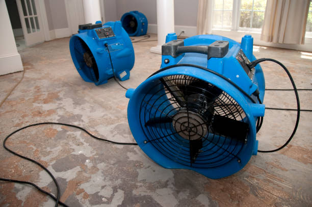 Best Water damage restoration near me  in Gooding, ID